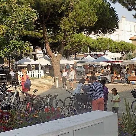 아파트 Saint Palais Sur Mer - Appartement - Petite Copropriete - Centre Ville